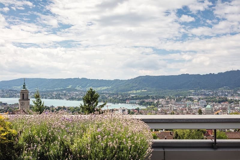 Helle Alterswohnung mit Aussicht in Zürich (5)
