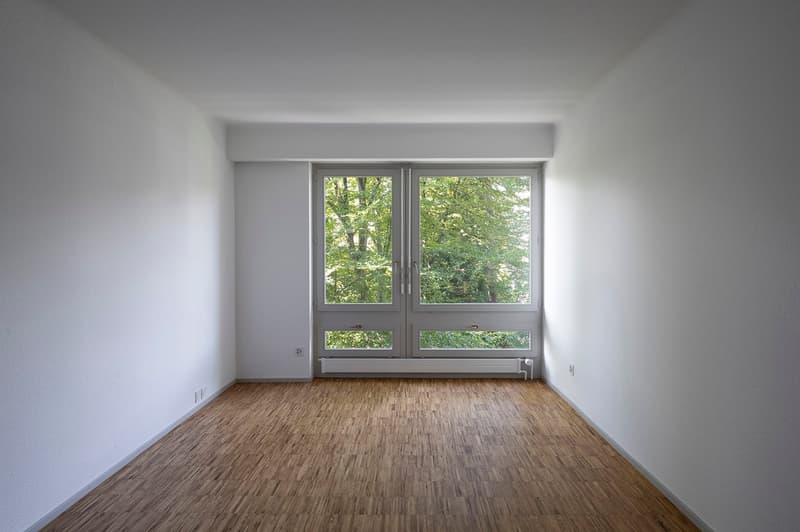 empty room, wooden floor, white walls, large window, view of trees