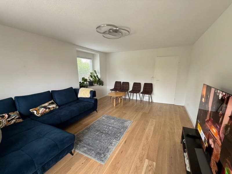 Charmante 4-Zimmer-Wohnung an ruhiger Lage in Adliswil (2)
