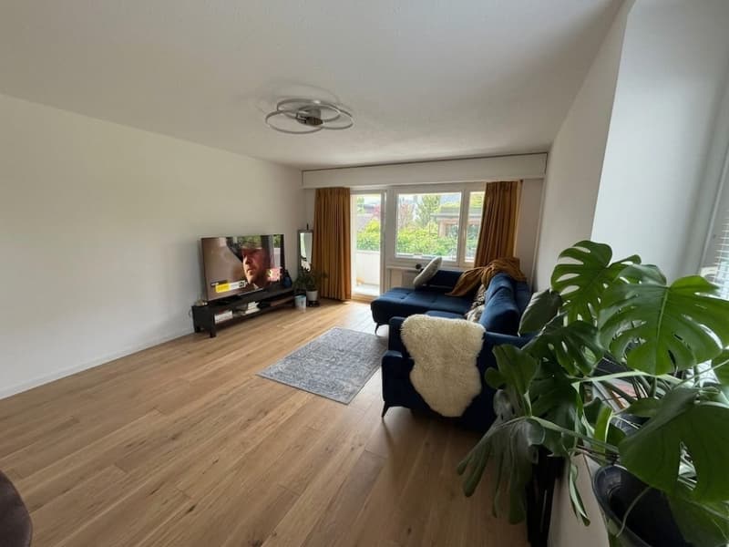 Charmante 4-Zimmer-Wohnung an ruhiger Lage in Adliswil (1)