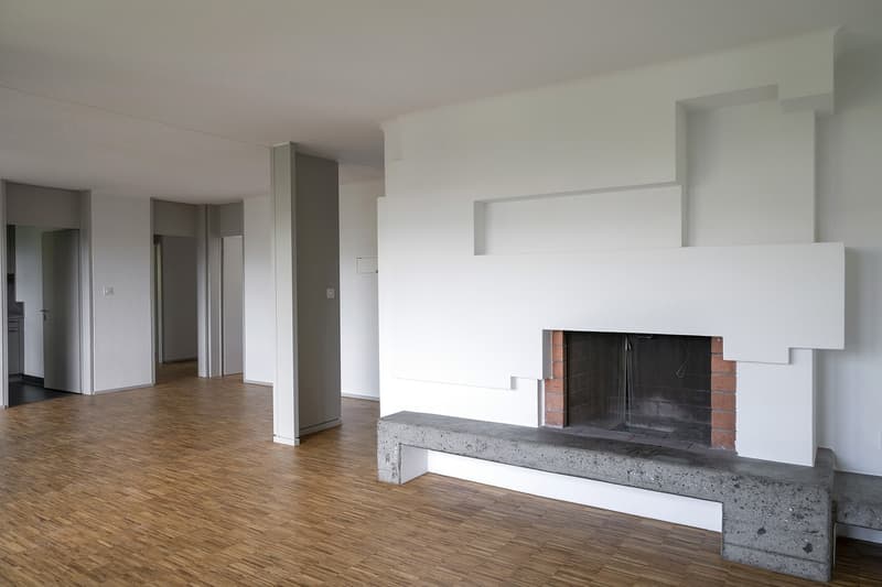 Light-flooded dream apartment with over 200m² rooftop terrace in Zürich-Höngg (2)