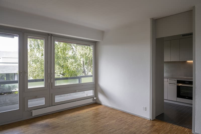 Light-flooded dream apartment with over 200m² rooftop terrace in Zürich-Höngg (3)