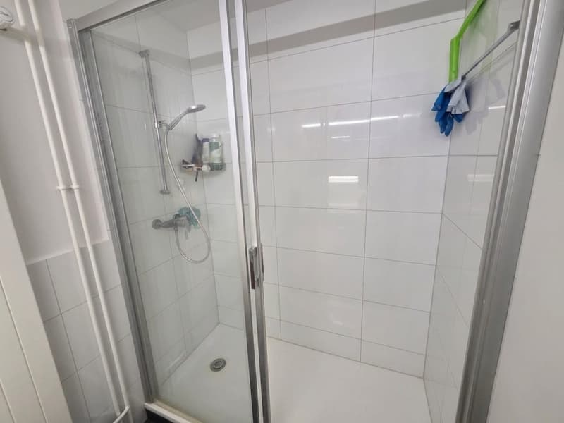 Charming 4-room apartment in a quiet location in Adliswil (7)