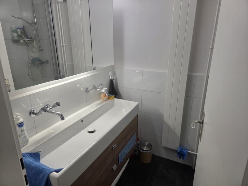 Charming 4-room apartment in a quiet location in Adliswil (6)