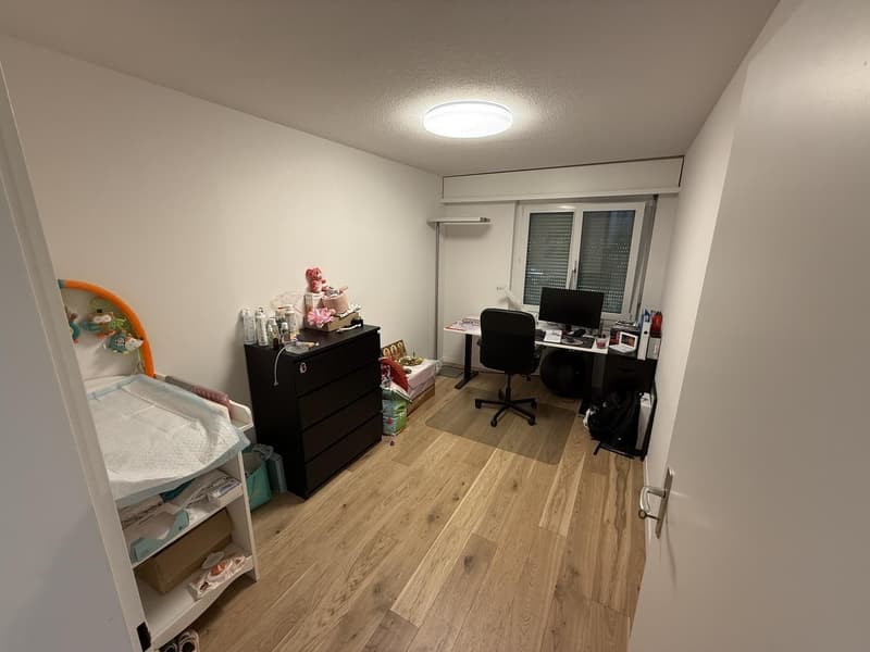Charming 4-room apartment in a quiet location in Adliswil (5)