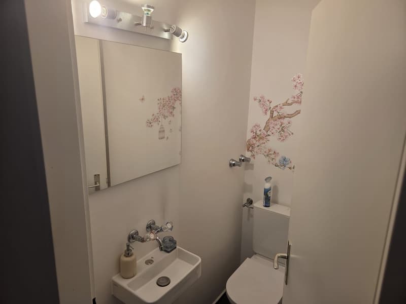 Charming 4-room apartment in a quiet location in Adliswil (8)