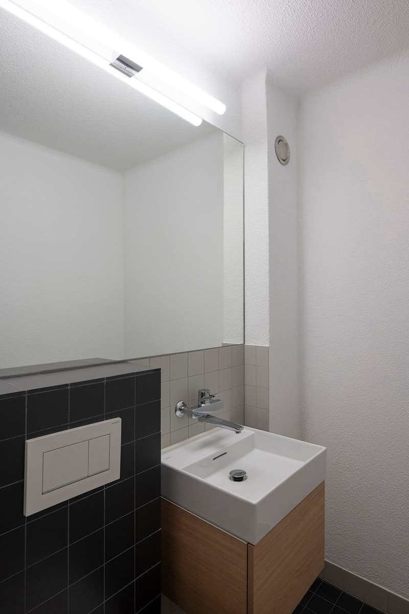 Light-filled apartment with exciting layout (8)