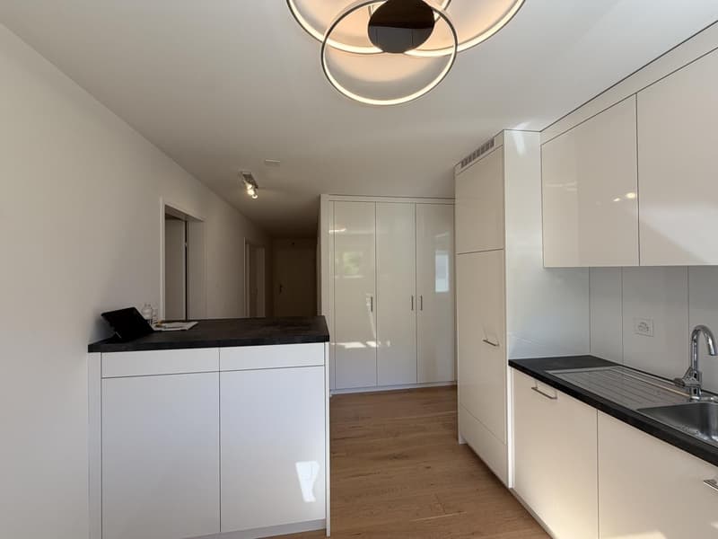Charming 4-room apartment in a quiet location in Adliswil (4)