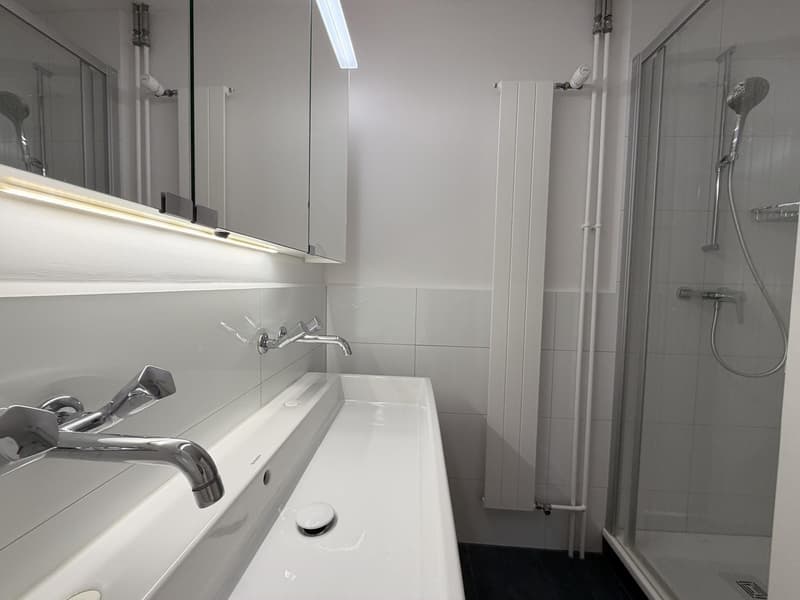 Charming 4-room apartment in a quiet location in Adliswil (9)