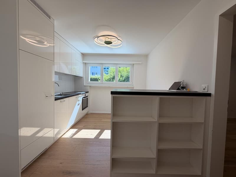 Charming 4-room apartment in a quiet location in Adliswil (5)