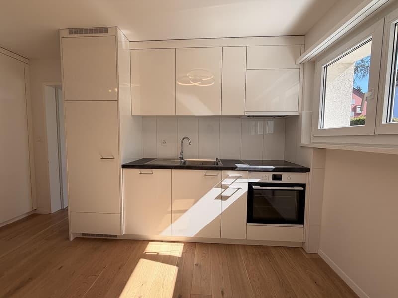 Charming 4-room apartment in a quiet location in Adliswil (3)