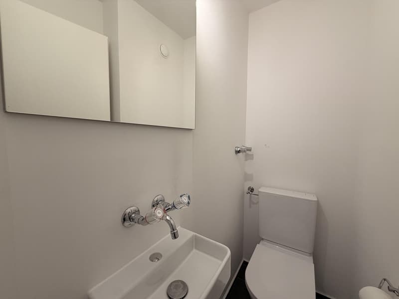 Charming 4-room apartment in a quiet location in Adliswil (10)
