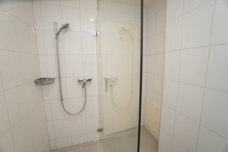 Charming 2.5-room apartment in a quiet location in Zürich-Seebach (7)