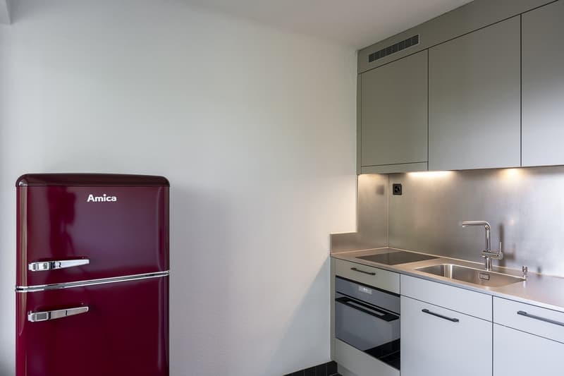 tolle 1.5-Zimmer-Wohnung in Zürich Höngg (1)
