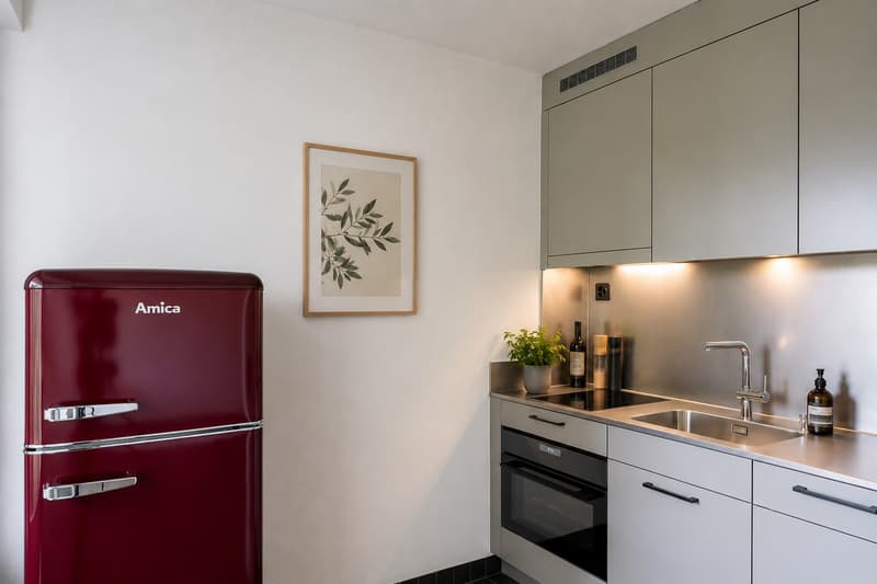tolle 1.5-Zimmer-Wohnung in Zürich Höngg (2)