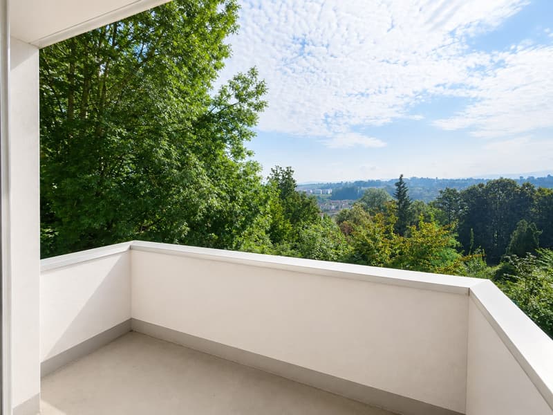 Charmante 1.5-Zimmer-Wohnung an ruhiger Lage in Adliswil (5)