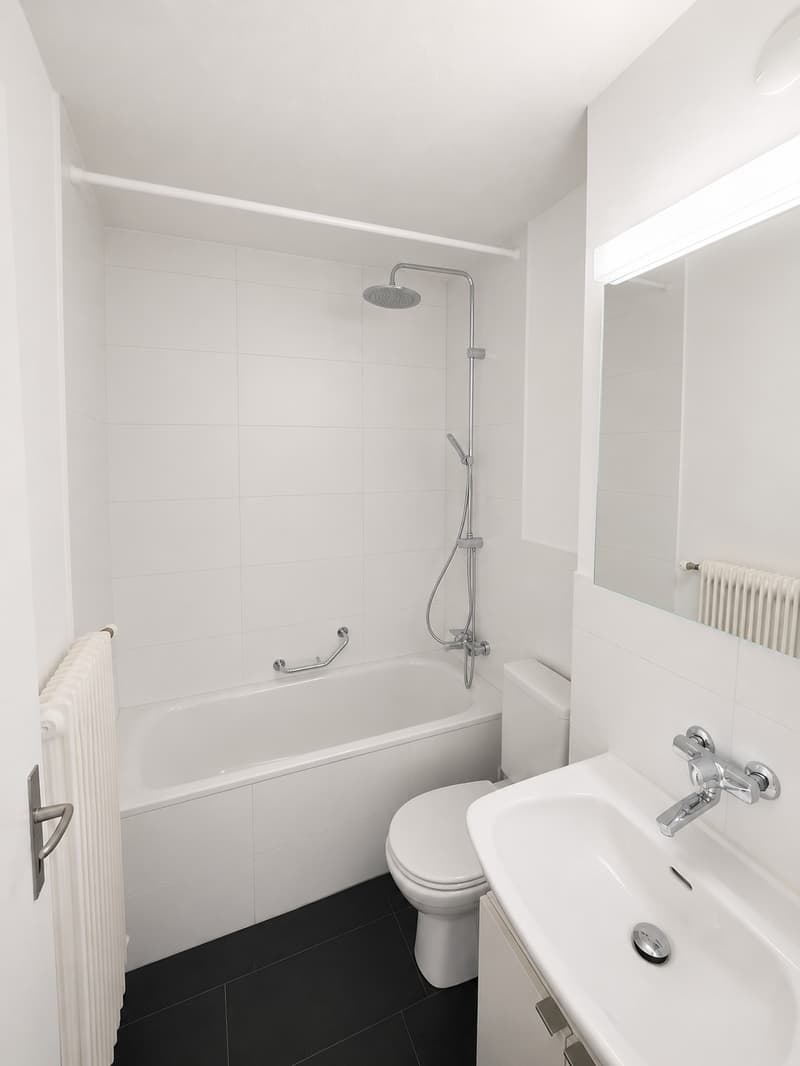 Charmante 1.5-Zimmer-Wohnung an ruhiger Lage in Adliswil (4)