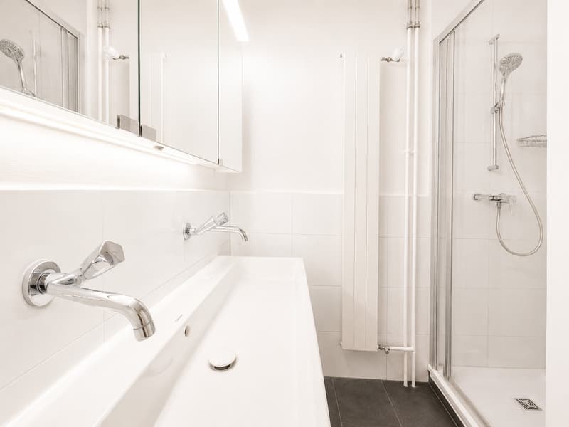 Charmante 4-Zimmer-Wohnung an ruhiger Lage in Adliswil (7)