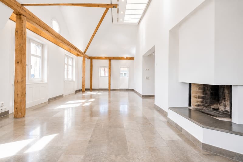 Attraktive 3.5-Zimmer-Dachwohnung mit privater Dachterrasse und Weitblick über Zürich und den Zürichsee (2)