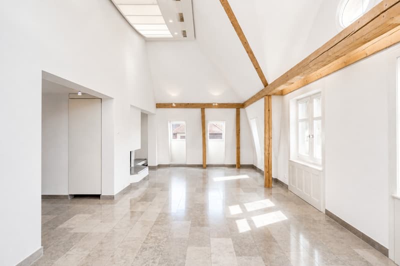 Attraktive 3.5-Zimmer-Dachwohnung mit privater Dachterrasse und Weitblick über Zürich und den Zürichsee (1)