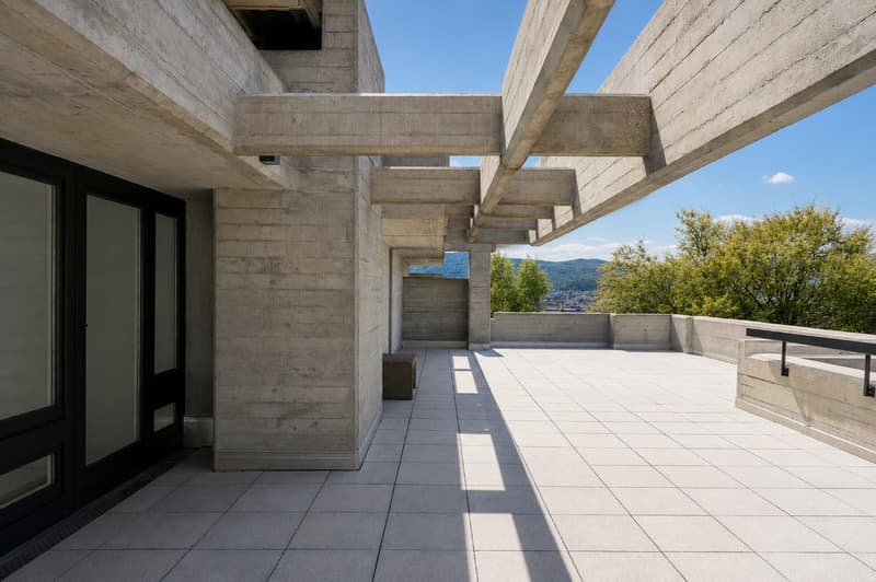 lichtdurchflutete Traumwohnung mit über 250m² Dachterrasse in Zürich-Höngg (1)