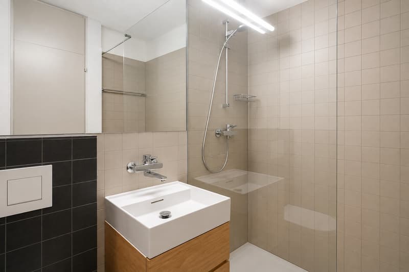 grosszügige 1.5-Zimmer-Wohnung in Höngg (3)