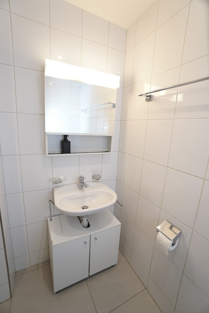 Charmante 2.5-Zimmer-Wohnung in ruhiger Lage Zürich-Seebach (8)