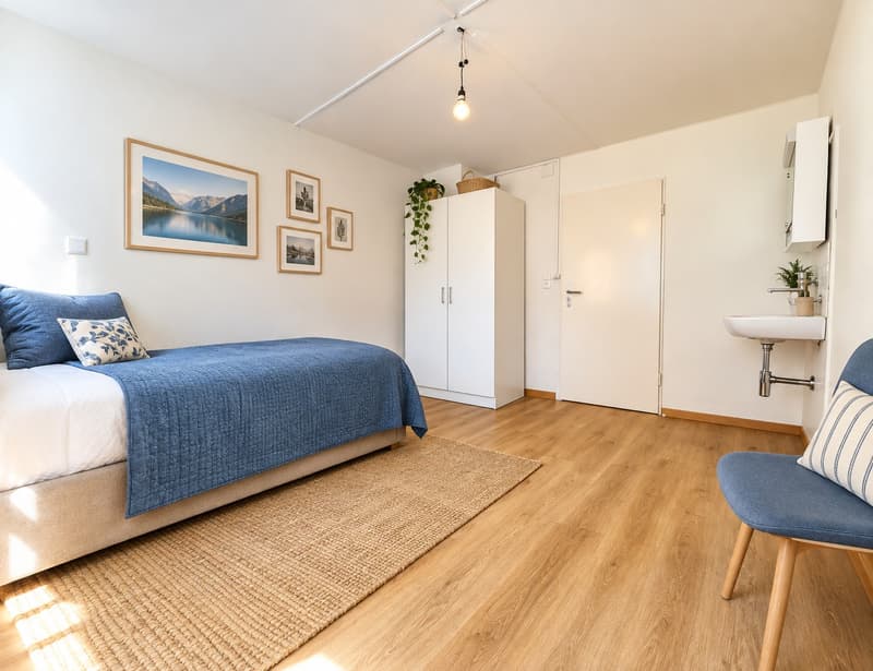 4 Zimmer-Dachwohnung, 8004 Zürich (1)