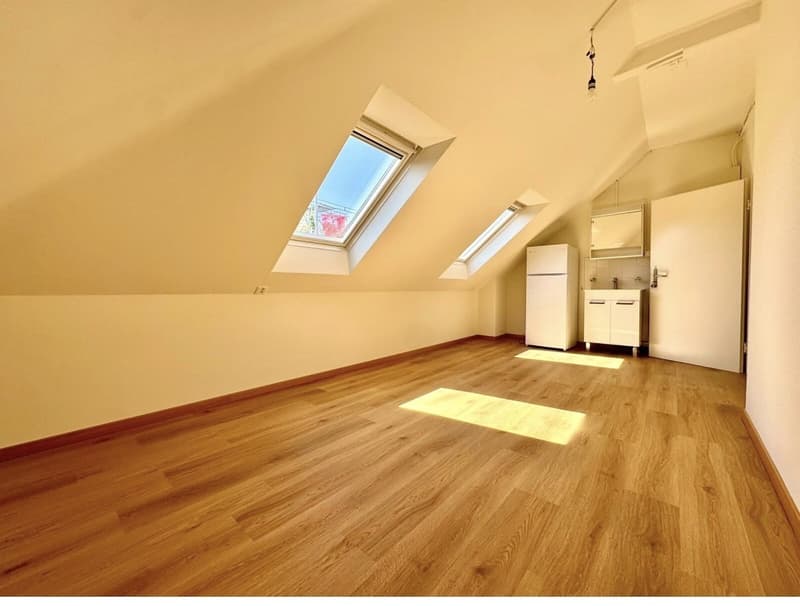 4 Zimmer-Dachwohnung, 8004 Zürich (4)