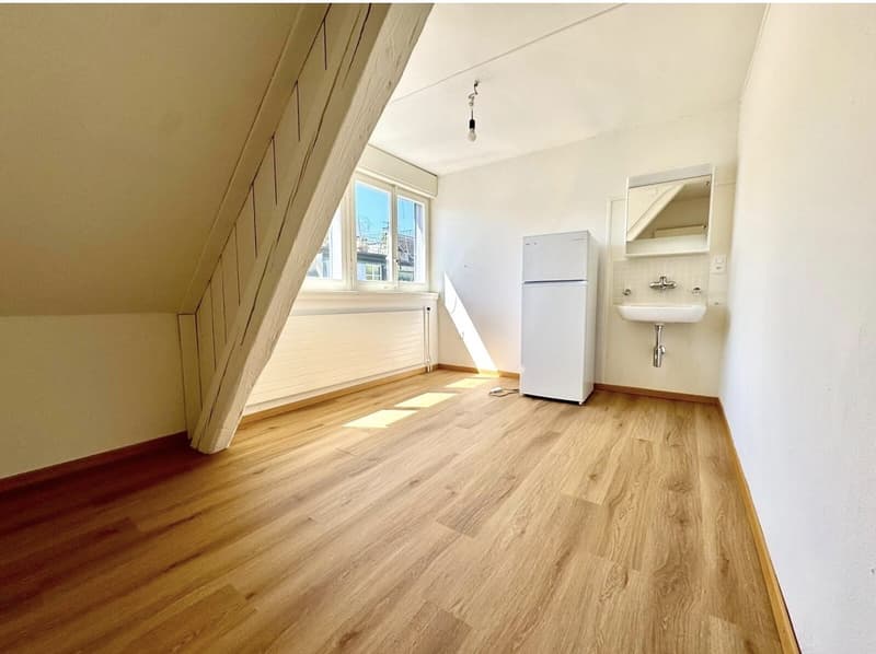 4 Zimmer-Dachwohnung, 8004 Zürich (5)