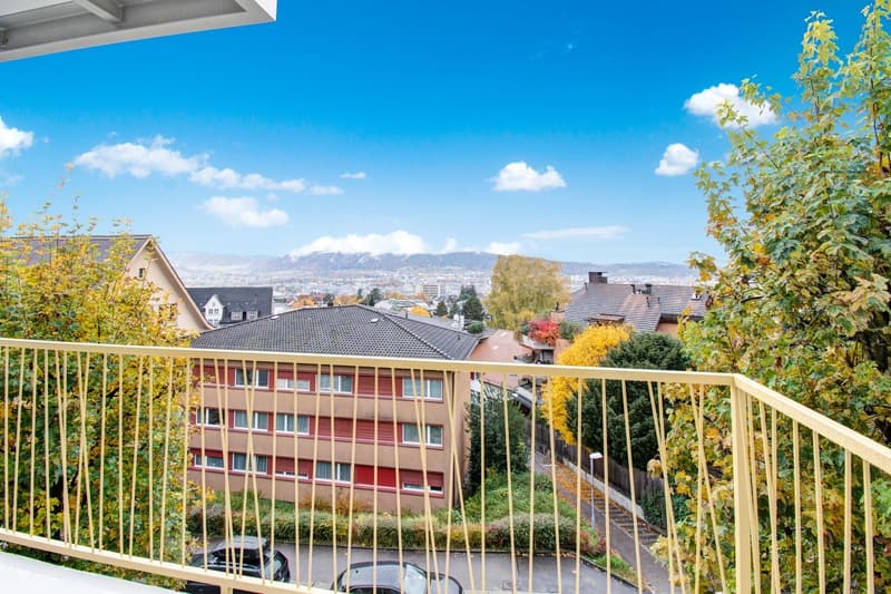 Für höchste Ansprüche und einer wunderbaren Seesicht (9)