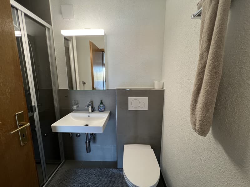 Badezimmer 2