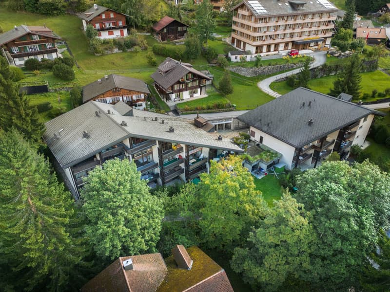 Charming 4-room maisonette apartment with mountain view in Wengen (9)
