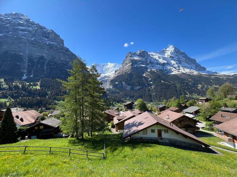 Charming 2.5-room apartment with breathtaking mountain views in Grindelwald (8)