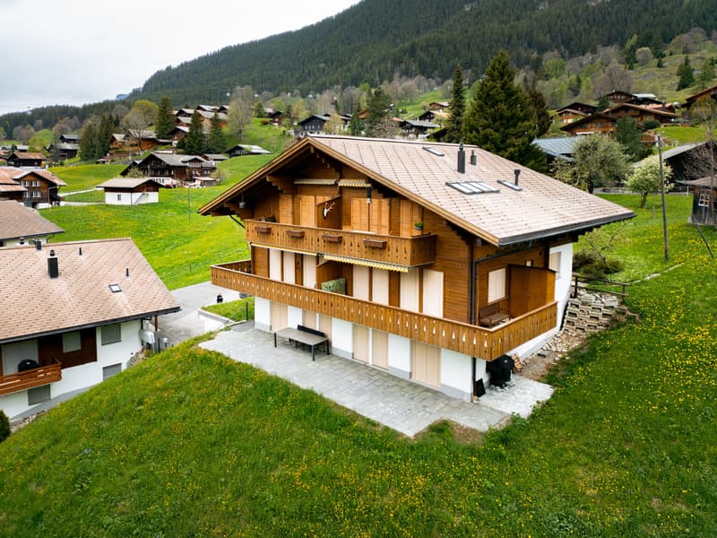 Charming 2.5-room apartment with breathtaking mountain views in Grindelwald (12)