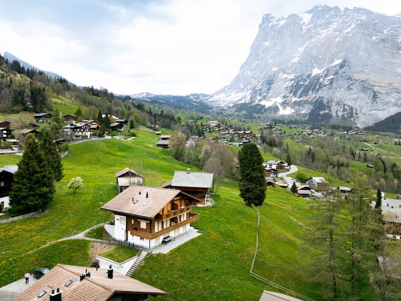 Charming 2.5-room apartment with breathtaking mountain views in Grindelwald (11)