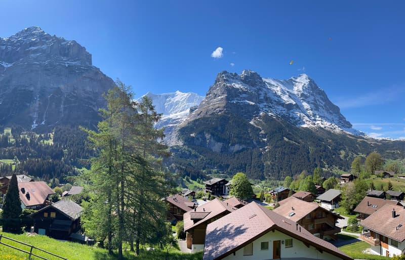 Charming 2.5-room apartment with breathtaking mountain views in Grindelwald (9)