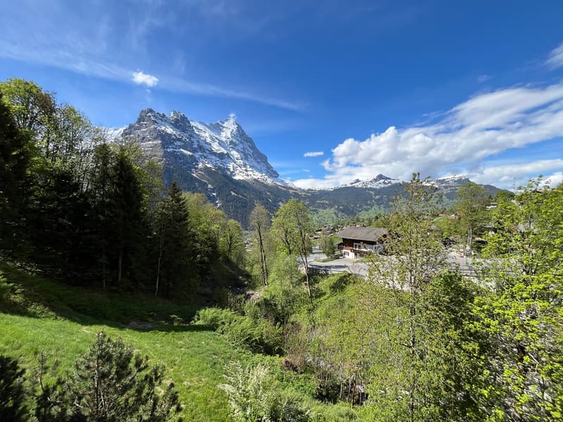 Charming 4-room maisonette apartment with breathtaking views in Grindelwald (10)