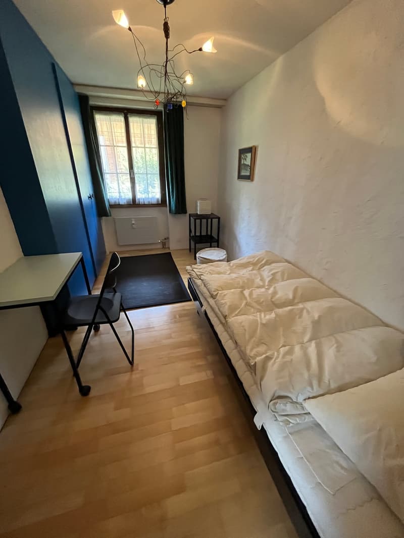 Charming 4-room maisonette apartment with breathtaking views in Grindelwald (7)
