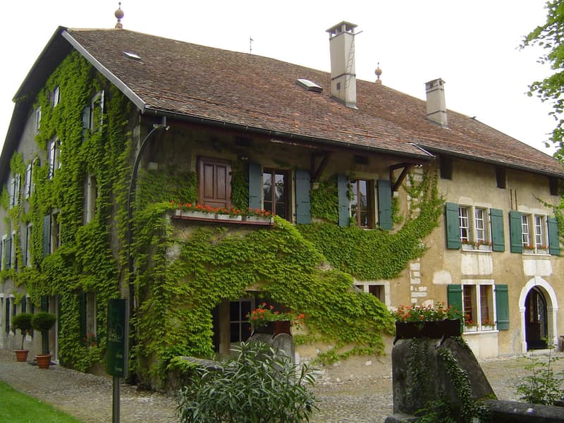 EXCLUSIVE: Magnificent property in the heart of the vineyard (3)