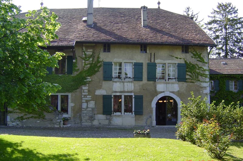 EXCLUSIVE: Magnificent property in the heart of the vineyard (4)