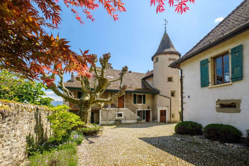 Il castello di Bourdigny (12)