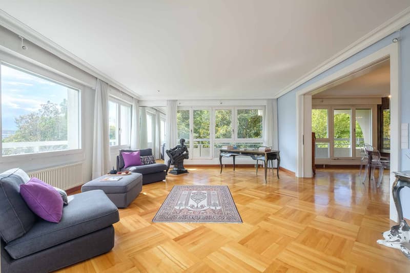Magnificent 8-room apartment in an upscale residence (5)