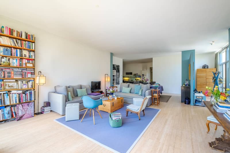 Meraviglioso loft con terrazze e giardino (3)