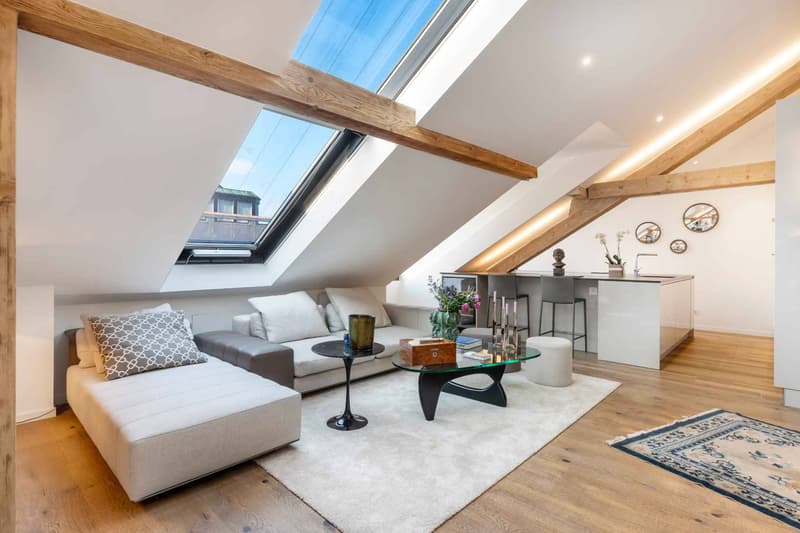 Magnificent 5-room apartment (3)