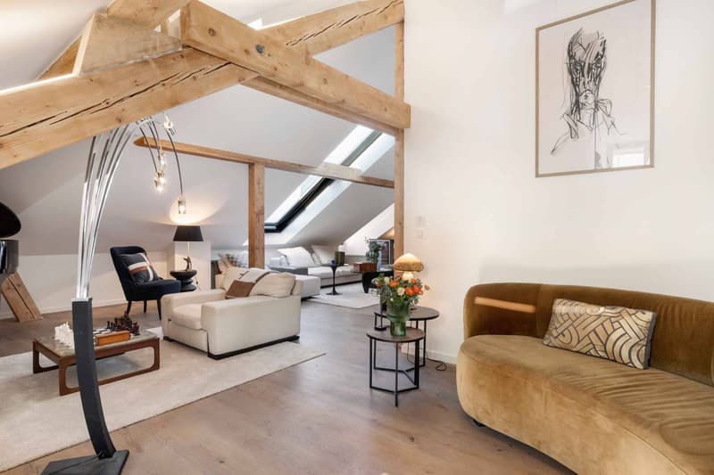 Magnificent 5-room apartment (2)
