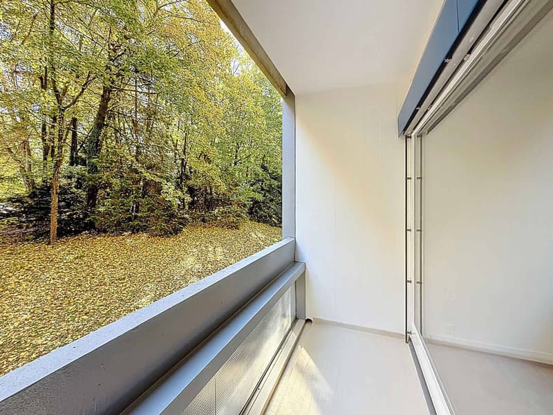 Beautiful renovated apartment in a quiet location, close to Parc Bertrand (8)