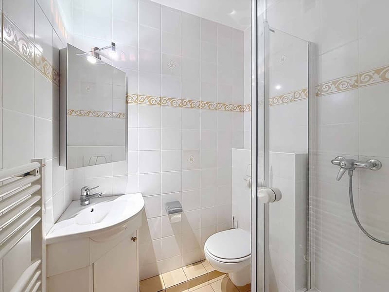Beautiful renovated apartment in a quiet location, close to Parc Bertrand (7)