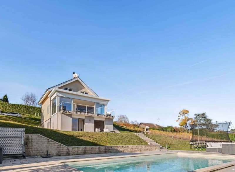 Incanto e Serenità: Villa indipendente con piscina affacciata sui vigneti (11)