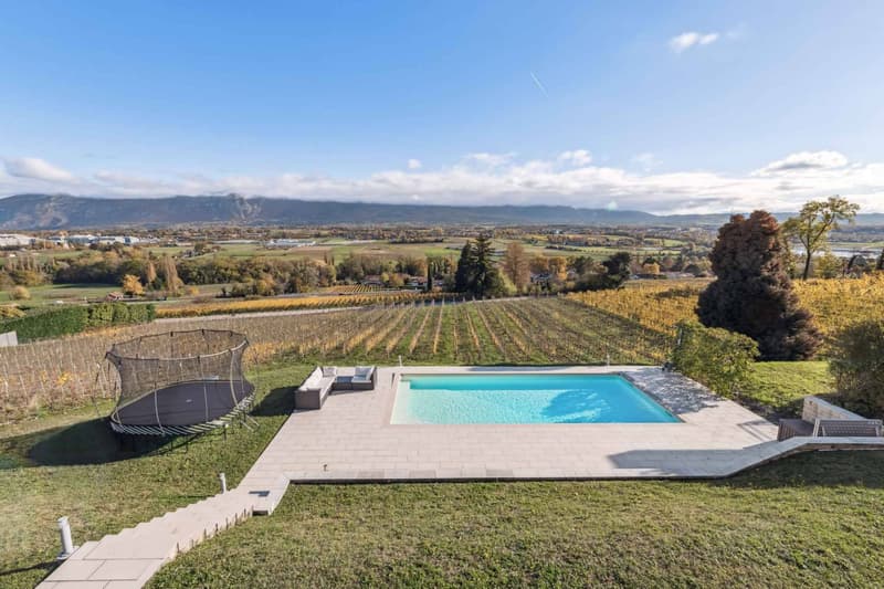 Incanto e Serenità: Villa indipendente con piscina affacciata sui vigneti (10)